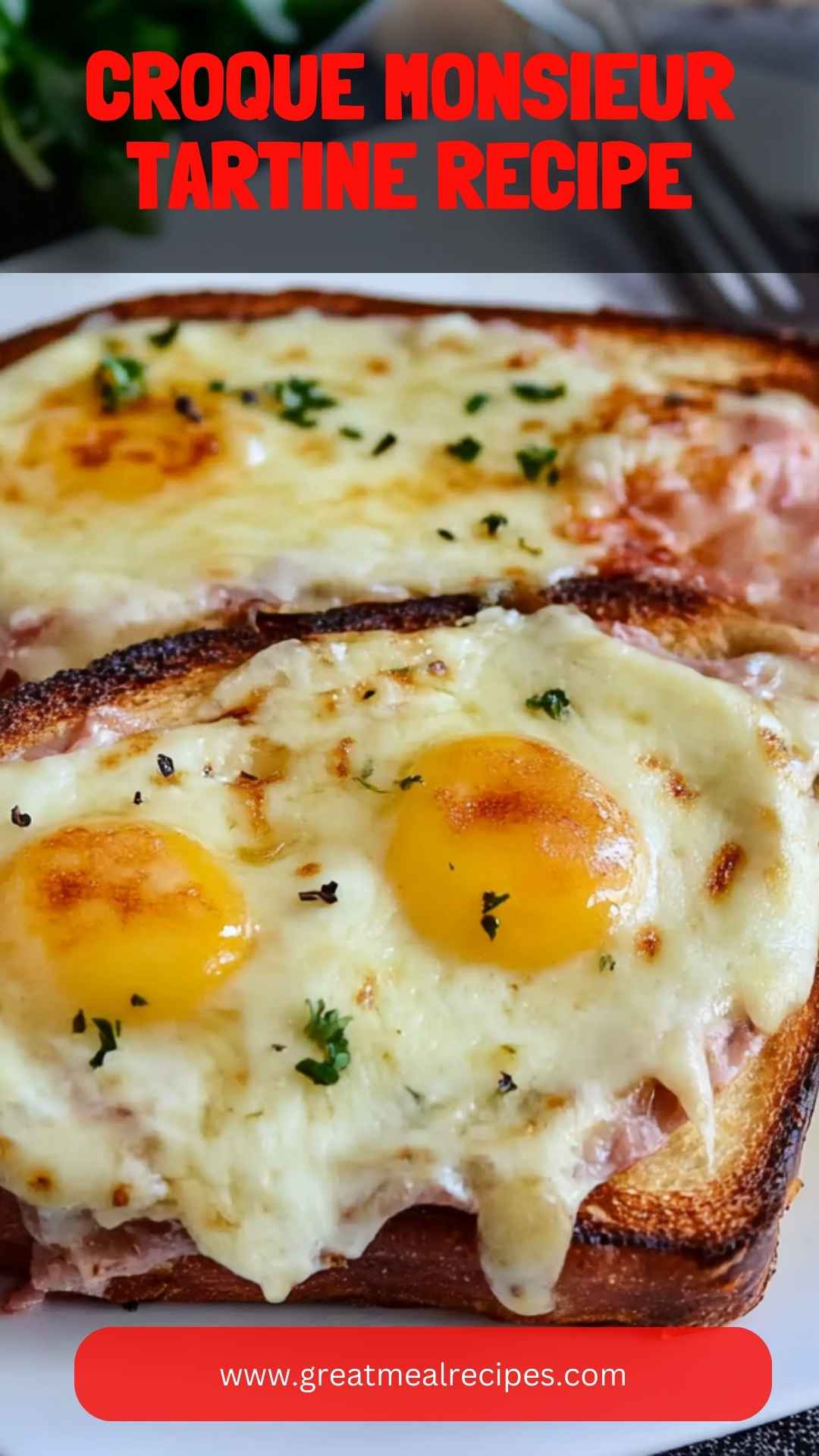 Croque Monsieur Tartine Recipe
