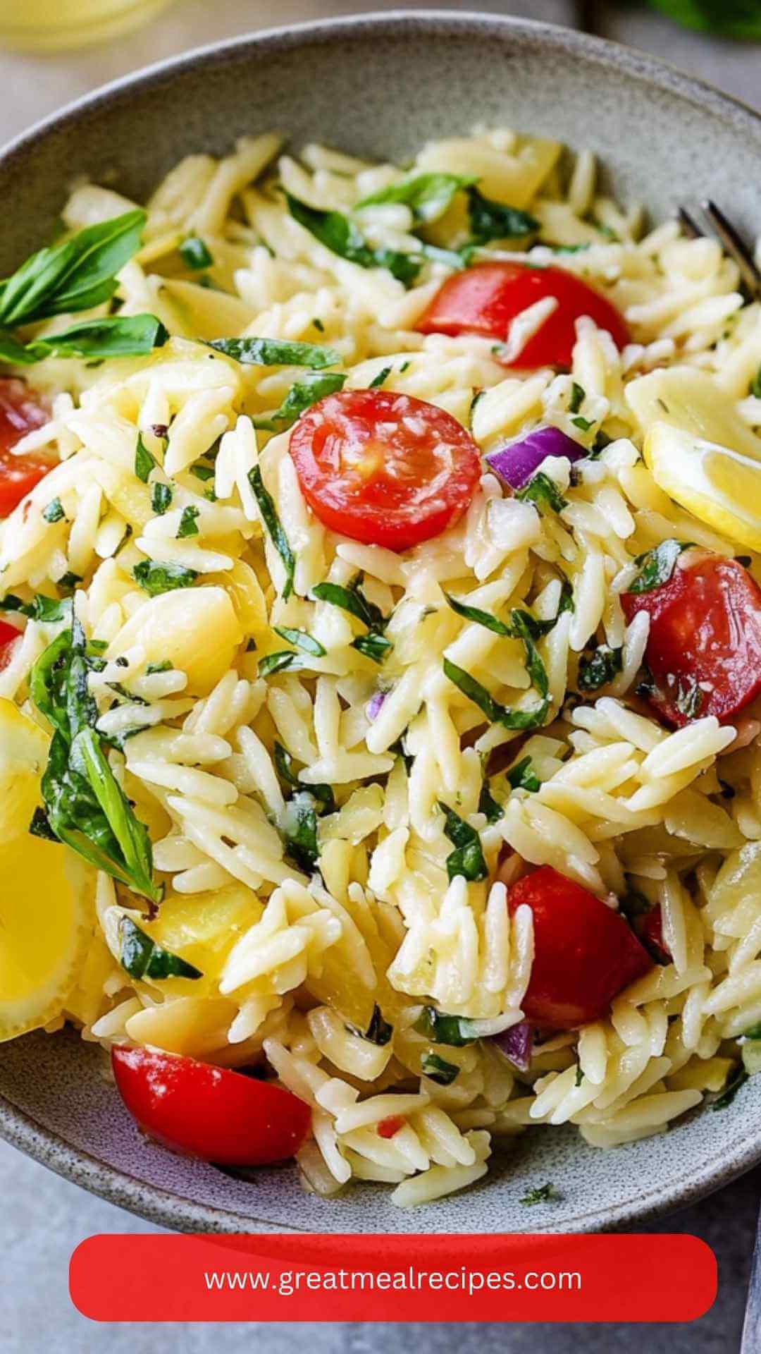 Lemon Orzo Salad Copycat Recipe