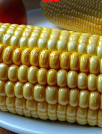 Steamed Corn On The Cob