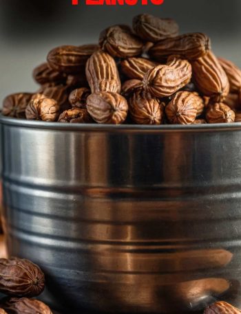 Instant Pot Boiled Peanuts