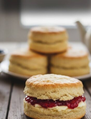 Biscuit Recipe Vegan